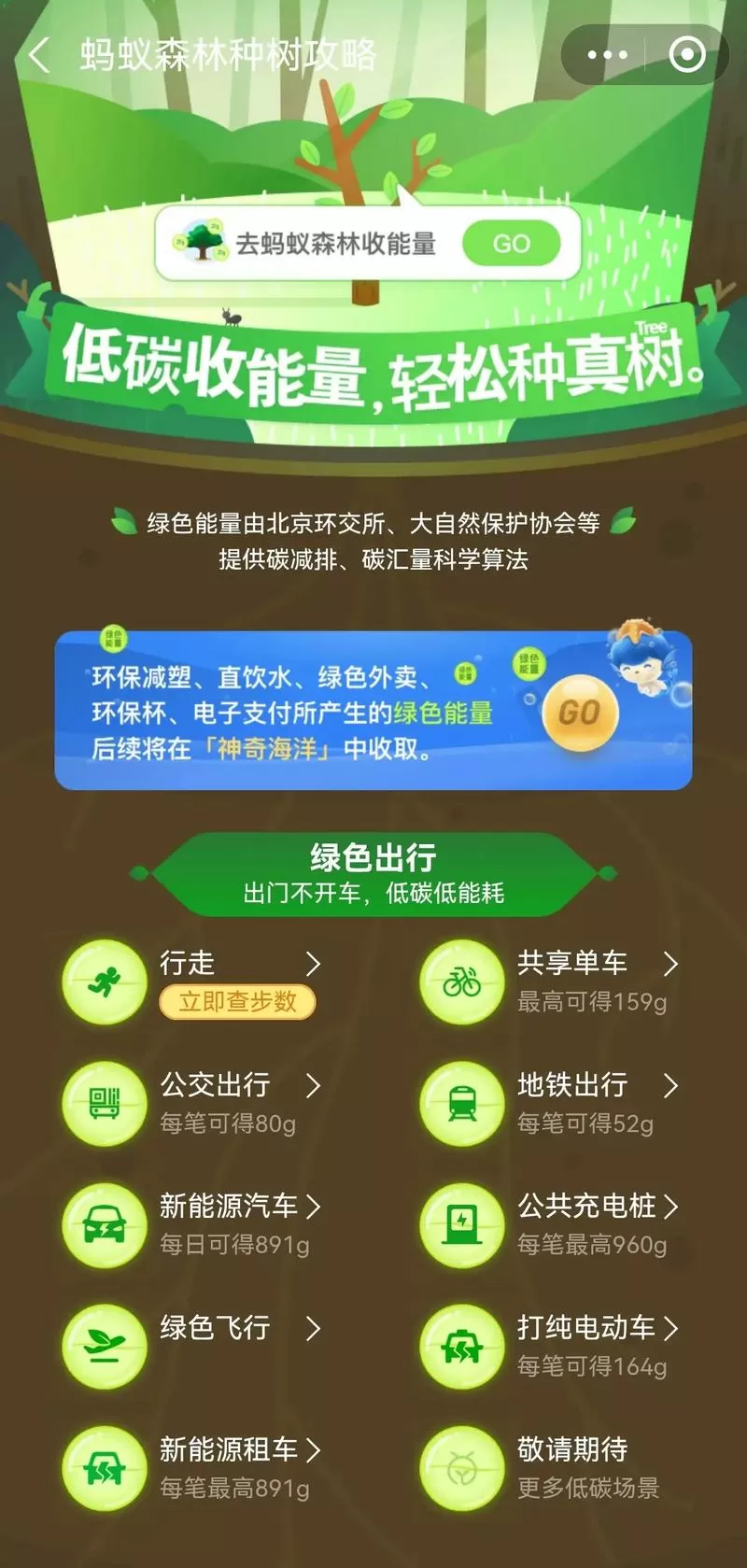 支付宝80g能量是花了多少钱