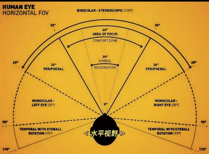 人的视野长宽比例