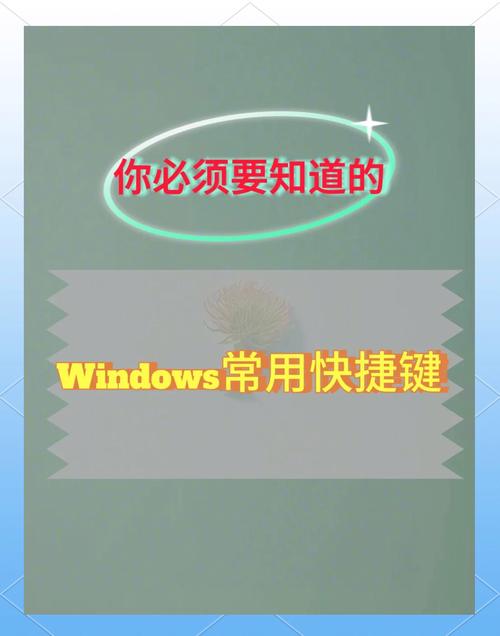 笔记本页面放大缩小快捷键
