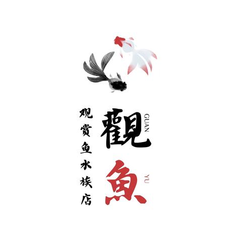 带财运的水族店名字