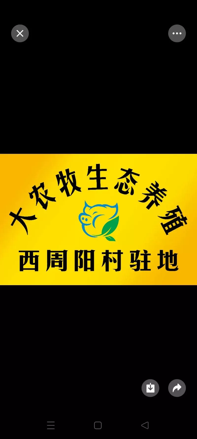 抖音里的养猪场能赚钱吗