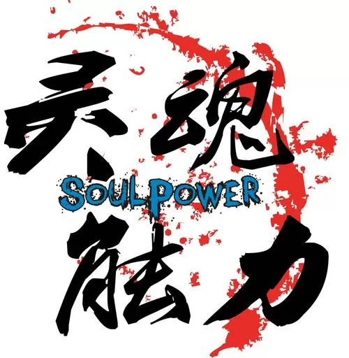 灵魂能力mod