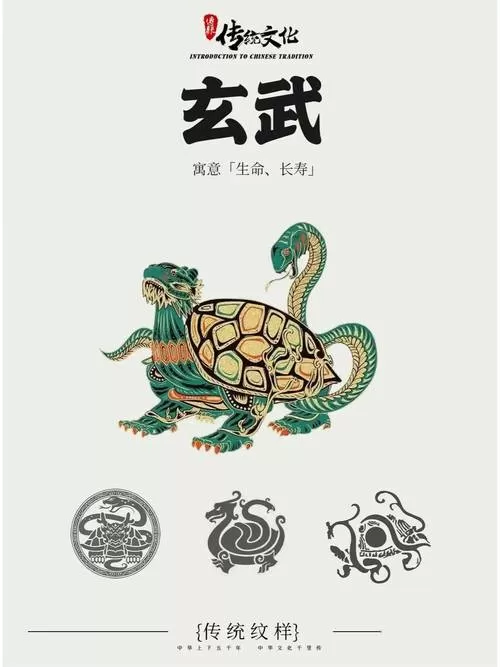龟壳爻卦在线