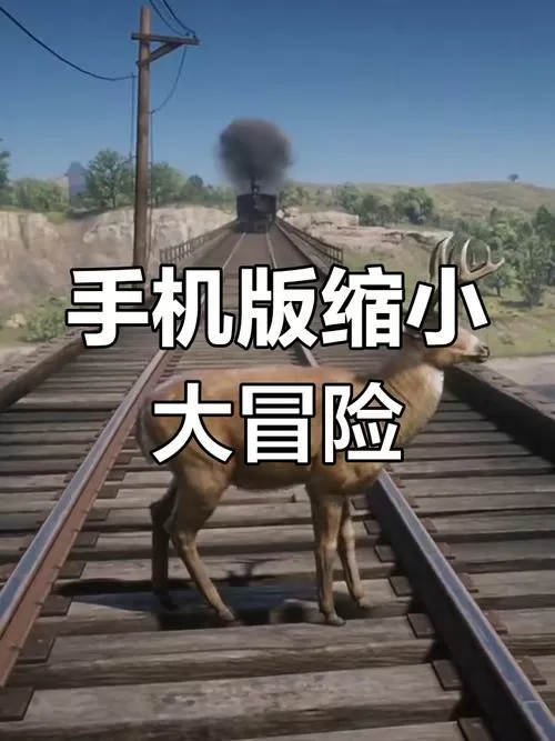 缩小大冒险下载安装