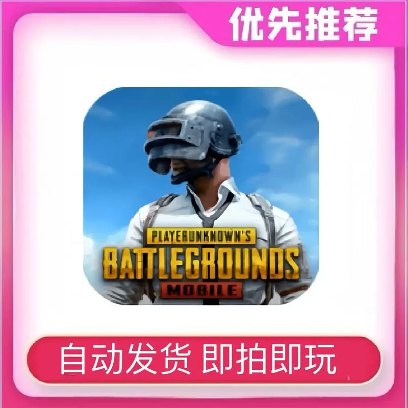 PUBG体验服国体直装无需卡密缩略图