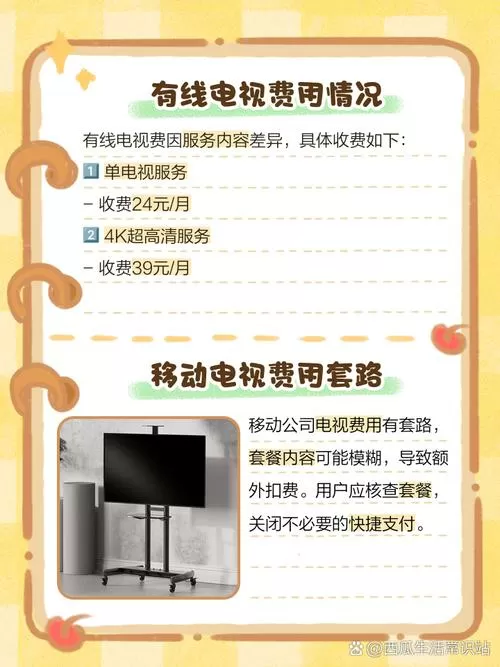 电视上显示付费是怎样收费