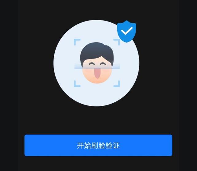 视频人脸验证可以吗
