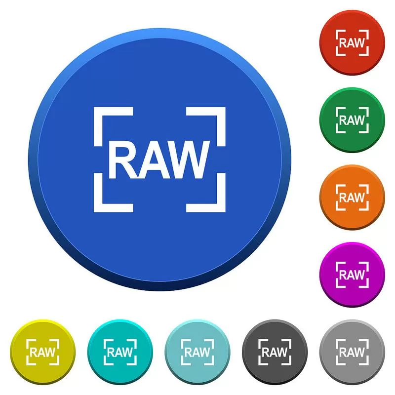 camera RAW