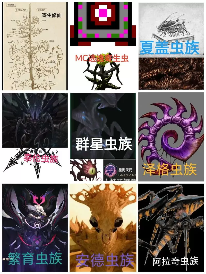 4399小游戏人族虫族战争的