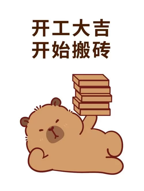 年已过完开始搬砖