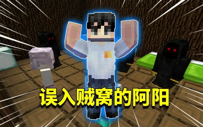 我的世界阿阳虚无传图标