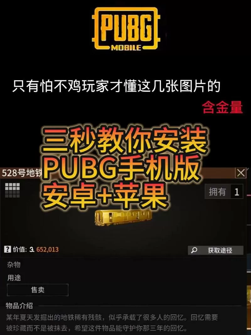 绝地求生国际服帧率修改软件下载教程视频