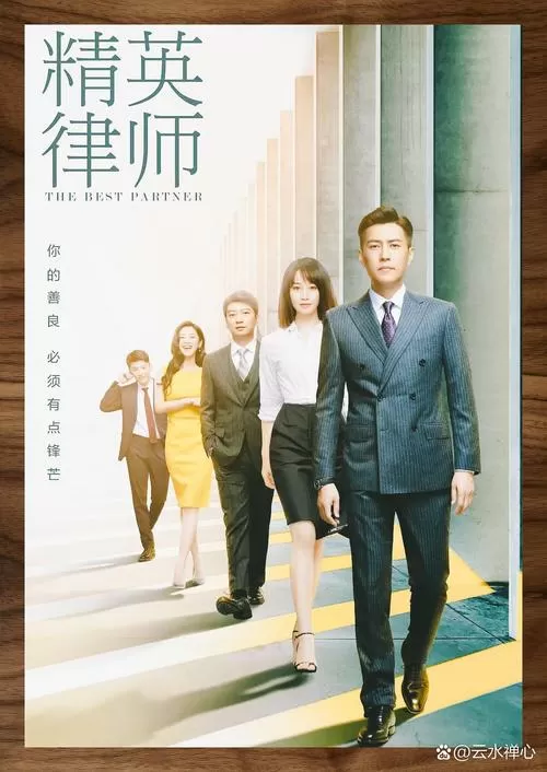 精英律师电视剧在线观看免费