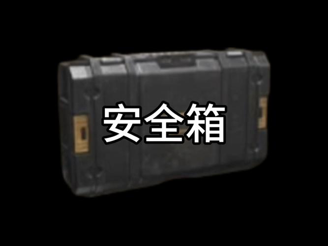 暗区突围两个永久安全箱