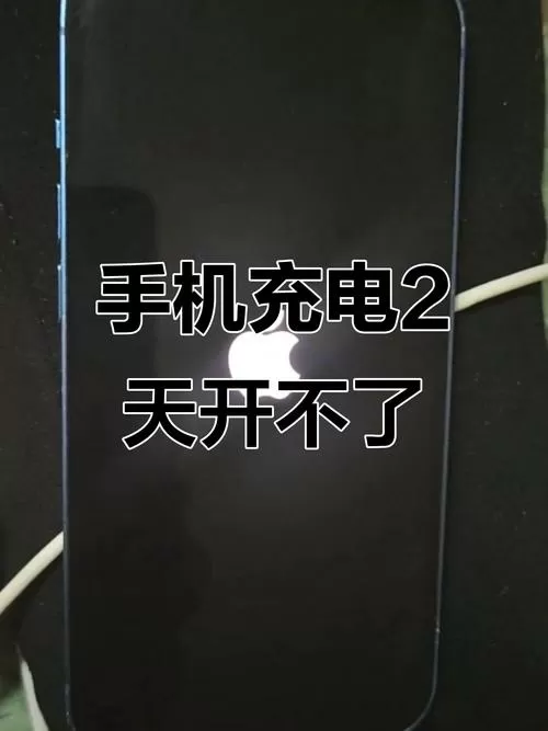 手机充电灯不亮什么原因