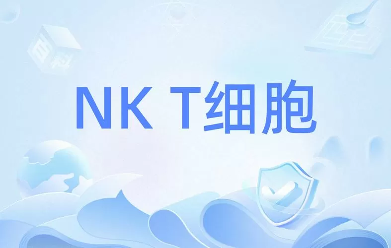 NKT细胞