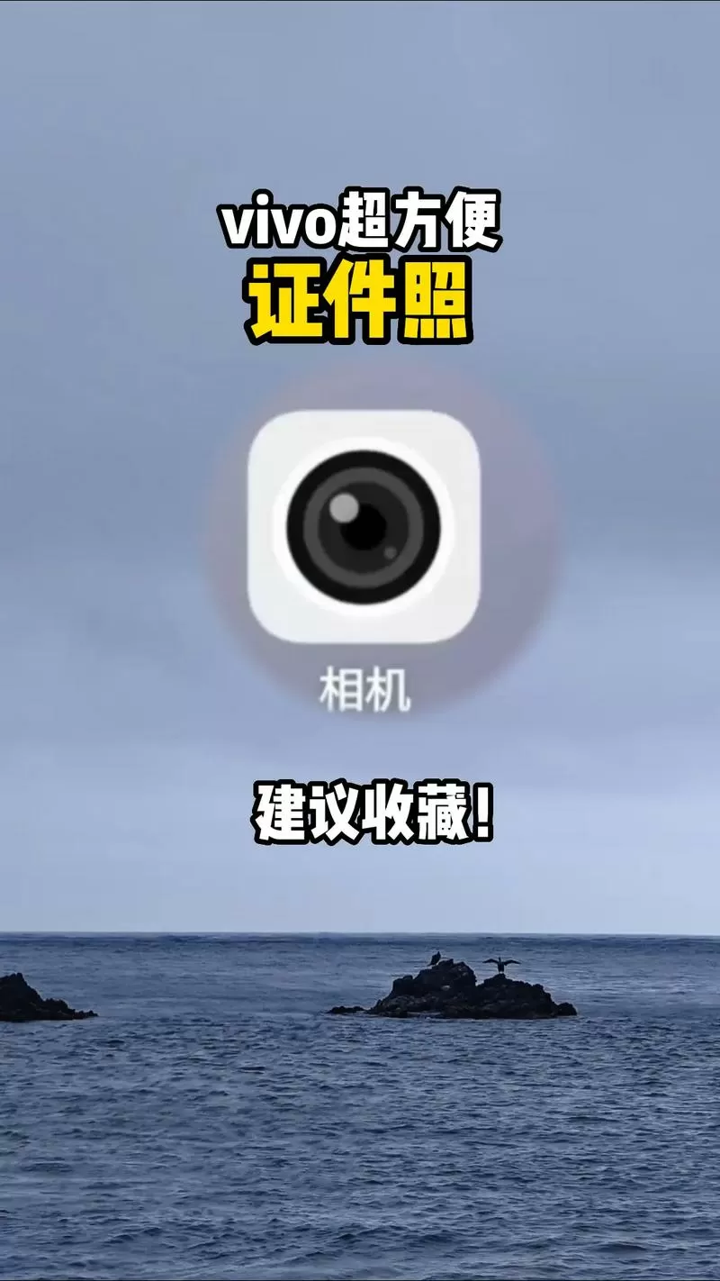 vivo手机拍证件照功能在哪里