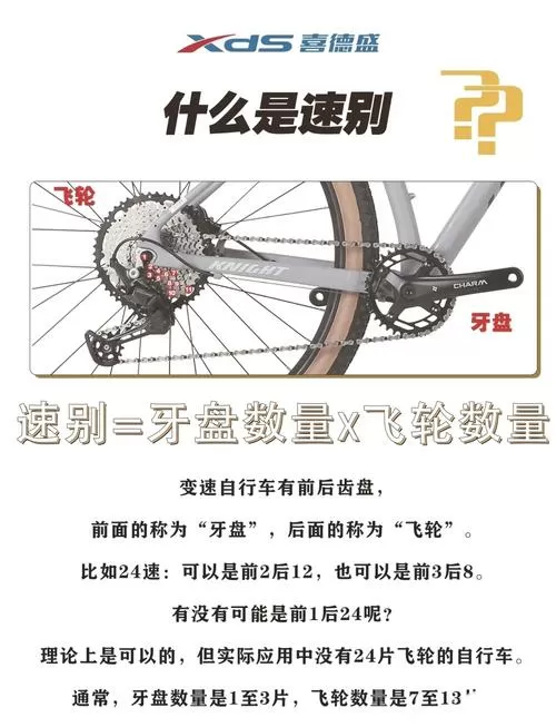 21速和30速有什么区别