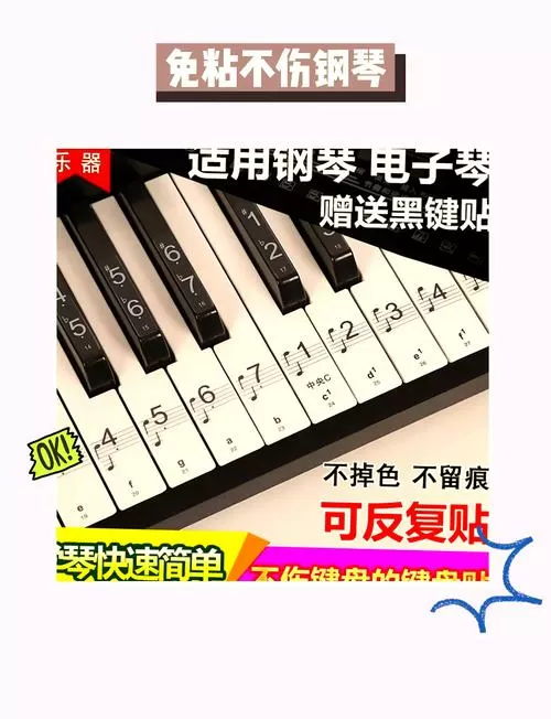 钢琴88键贴纸对照表图