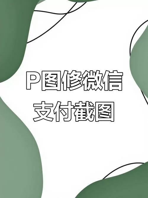 修改支付金额软件p图软件