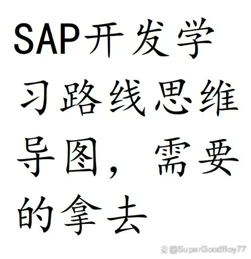 芥子空间脚本运行教程