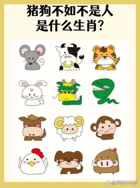 把八分成两半打一生肖