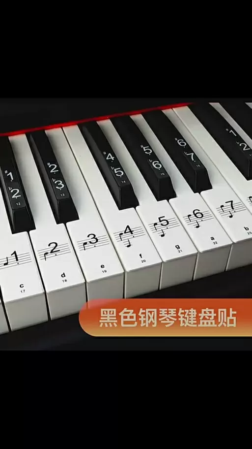 61键电子琴琴贴对照表