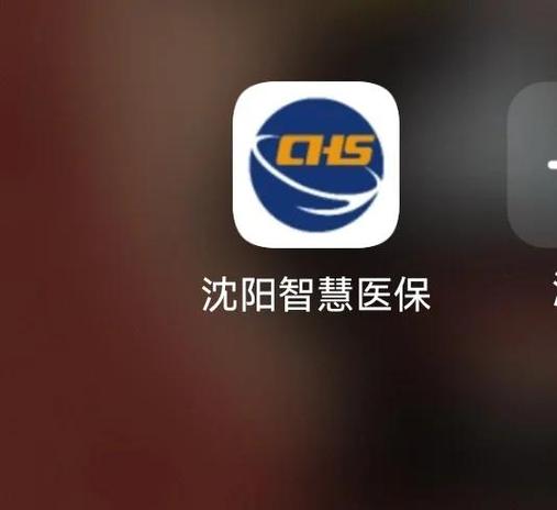 沈阳市个人医保查询