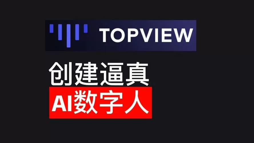 topview数据查询