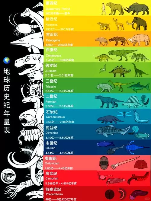 地球时代顺序图