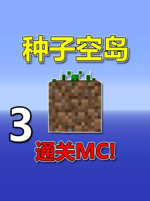 我的世界空岛生存攻略手机版