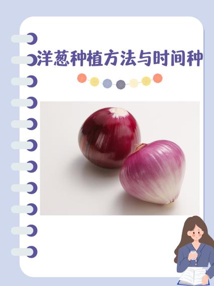 洋葱几月种植最好