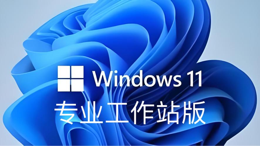windows11专业版安装包