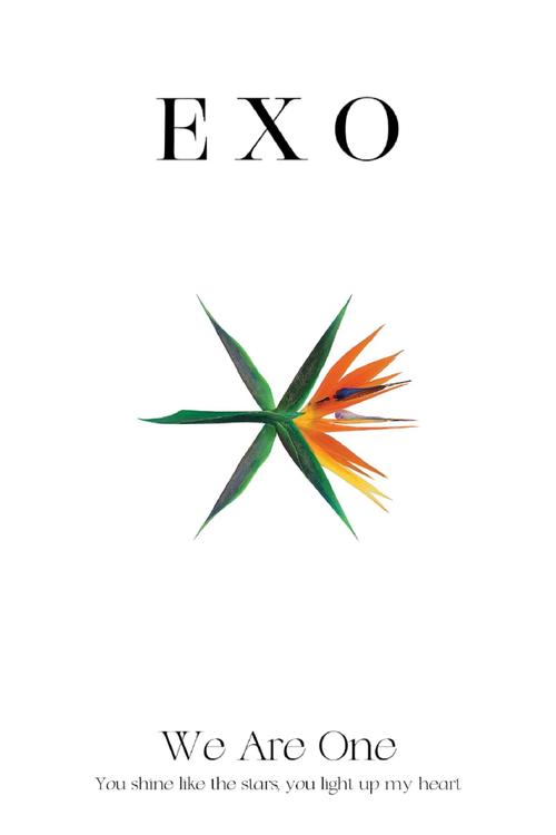 EXO橙光清软完结手机版