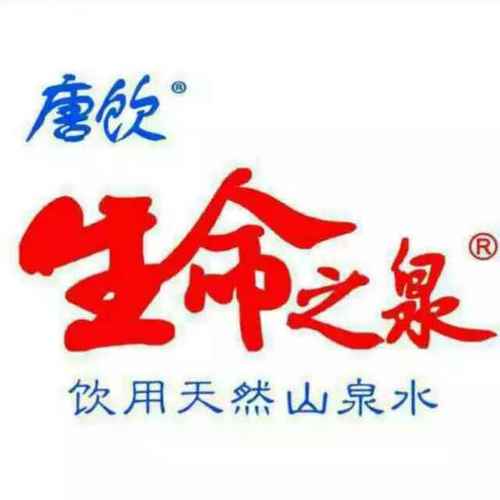 生命之泉正版