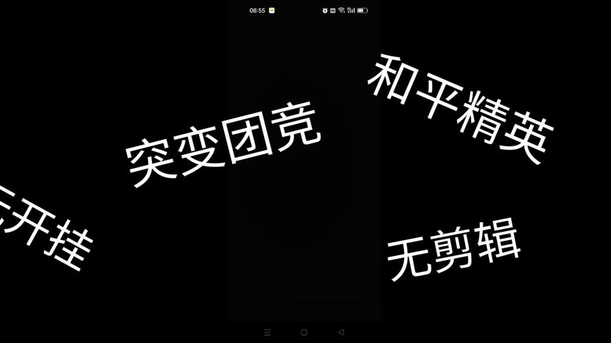 和平精英平板视角修改器黑色版免墙版