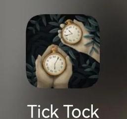 ticktock官网入口精简版截图