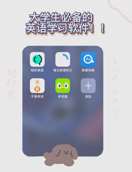 初步学英语什么软件安卓版