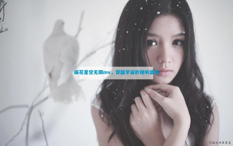 星空无痕mv免费观看麻花影视破解版无需登录缩略图