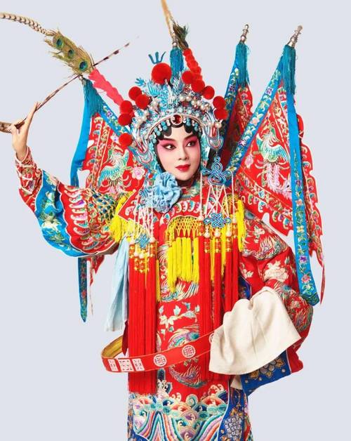 杨太君美化包最新版
