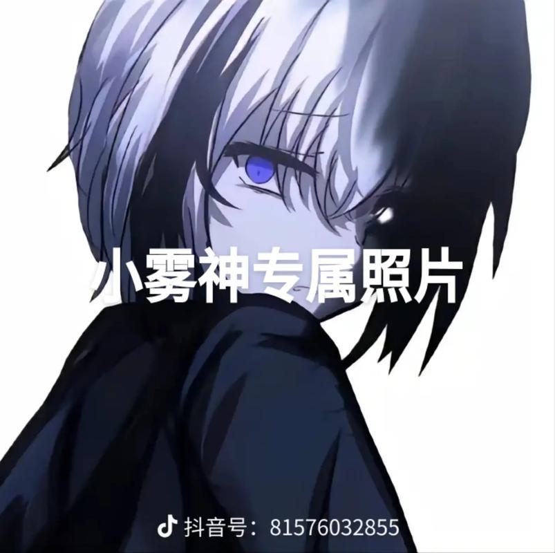 小雾神美化包永久会员版