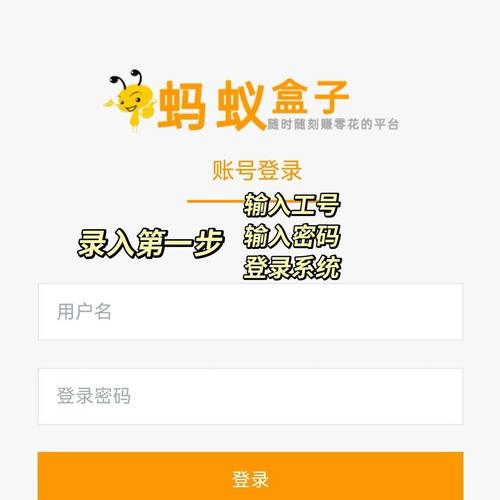 蚂蚁盒子打字录入绿色版