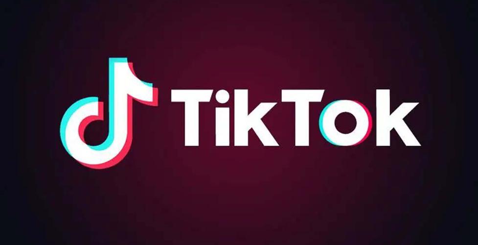 tiktok色板破解vip