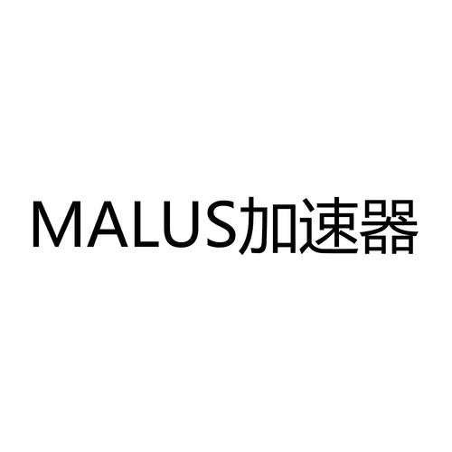 malus加速器2023最新版本ml加速器