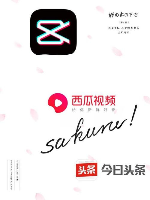 西瓜视频安装到手机桌面破解版无需登录