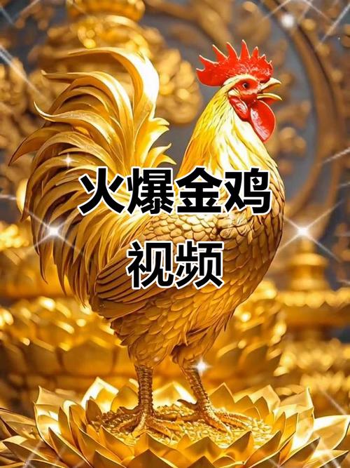 金鸡视频app官网企业版手机加速永久
