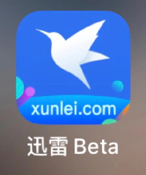 迅雷种子搜索神器修改版