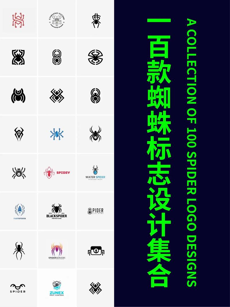 蜘蛛框架怎么安装