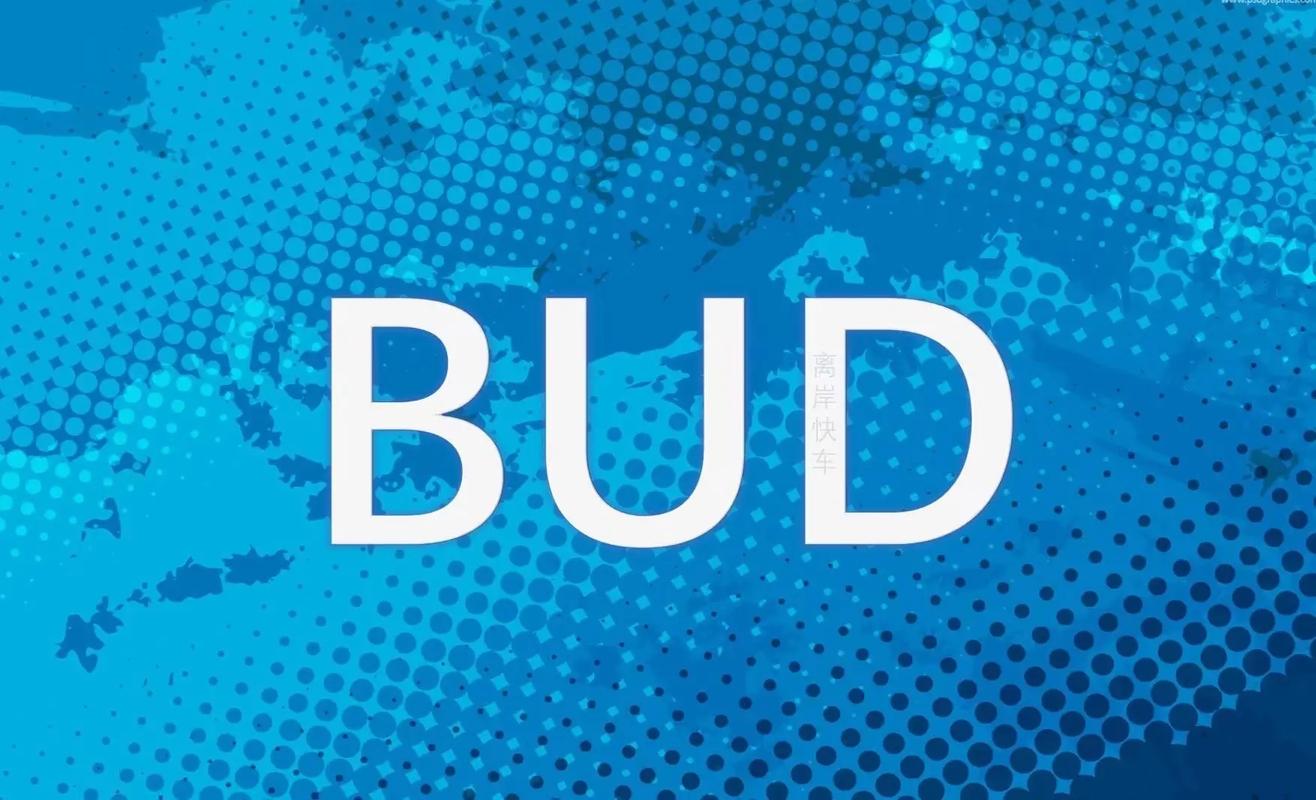 bud最新版