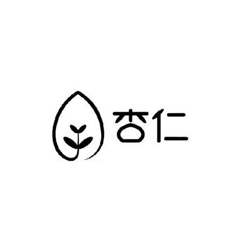 杏仁官网安装